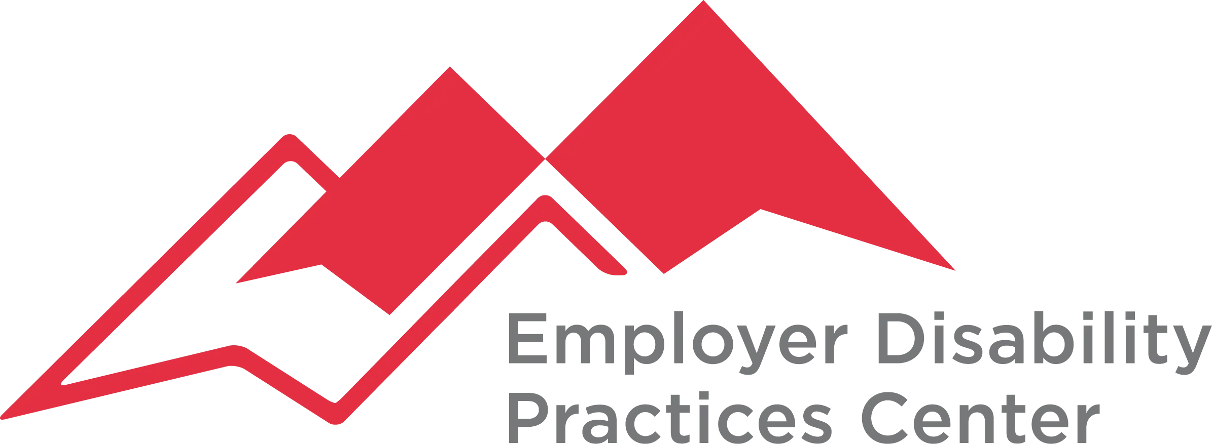 Employer Disability Practices Center
