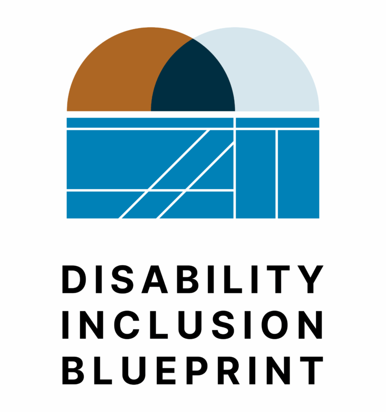 Logo for the Disability Inclusion Blueprint, featuring a geometric graphic with overlapping semicircles in brown, dark blue, and light blue above a blue architectural grid design. The words “Disability Inclusion Blueprint” appear in bold black text below the graphic.