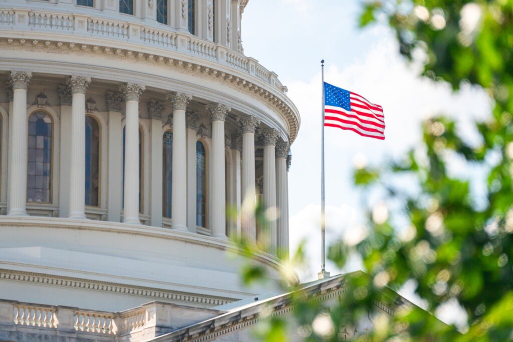 The American flag flies prominently in front of a neoclassical government building featuring white columns, ornate Corinthian capitals, and decorative balustrades. Green foliage frames the bottom and right side of the image, with the building's curved colonnade and detailed stonework visible in the background under a partly cloudy sky.